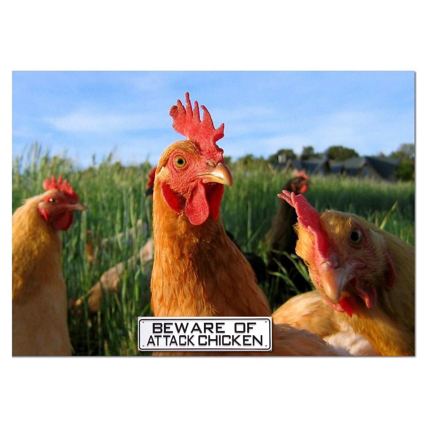 Beware Of Attack Chicken Sign Solid Plastic 12 X 3