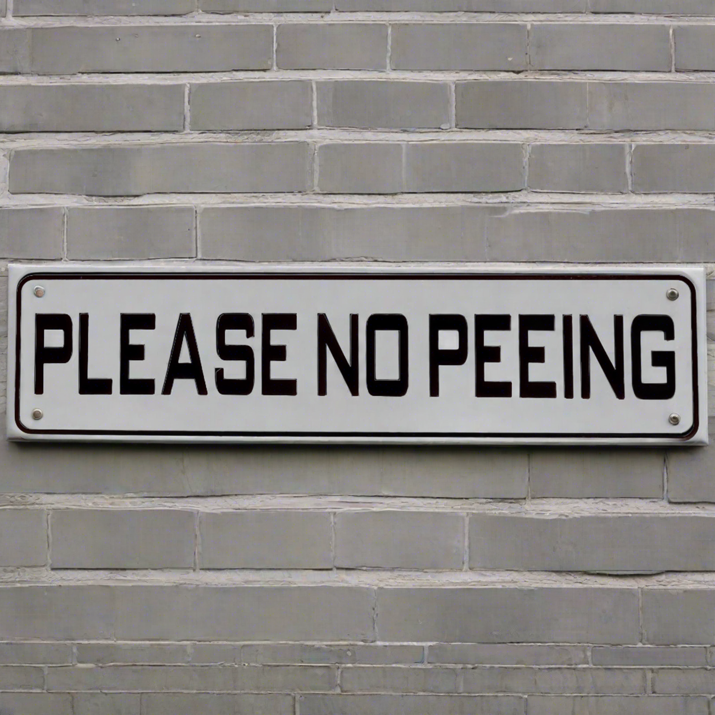 Please No Peeing Sign Solid Plastic 12 X 3