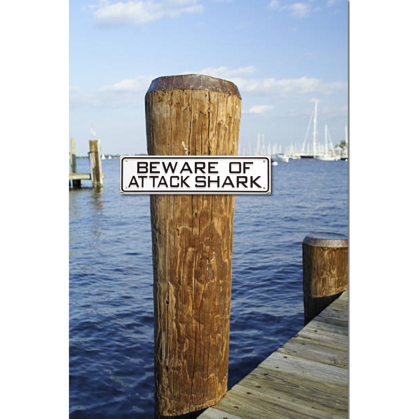 Beware Of Attack Shark Sign Solid Plastic 12 X 3