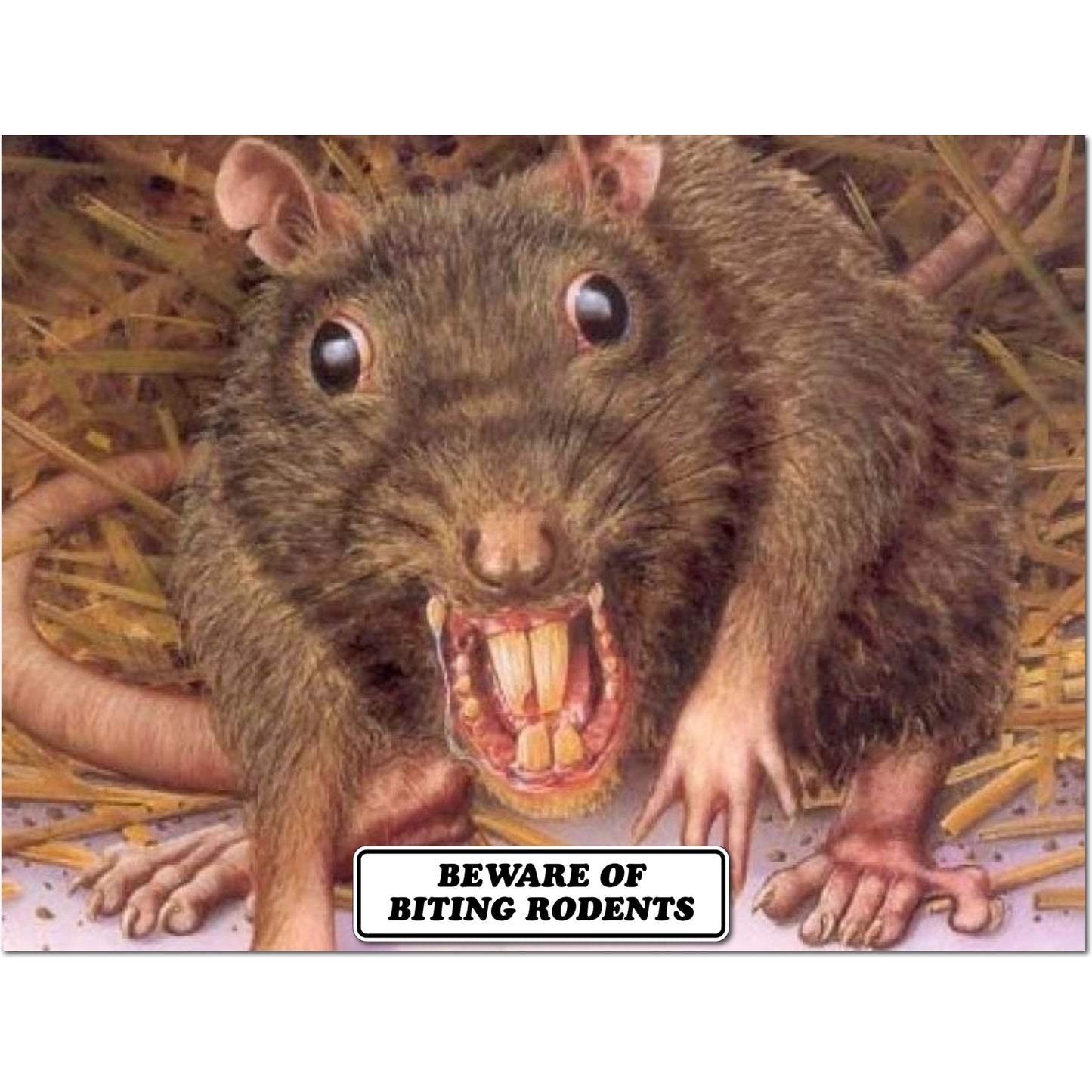 Beware Of Biting Rodents Sign Double Layered Aluminum 12 X 3