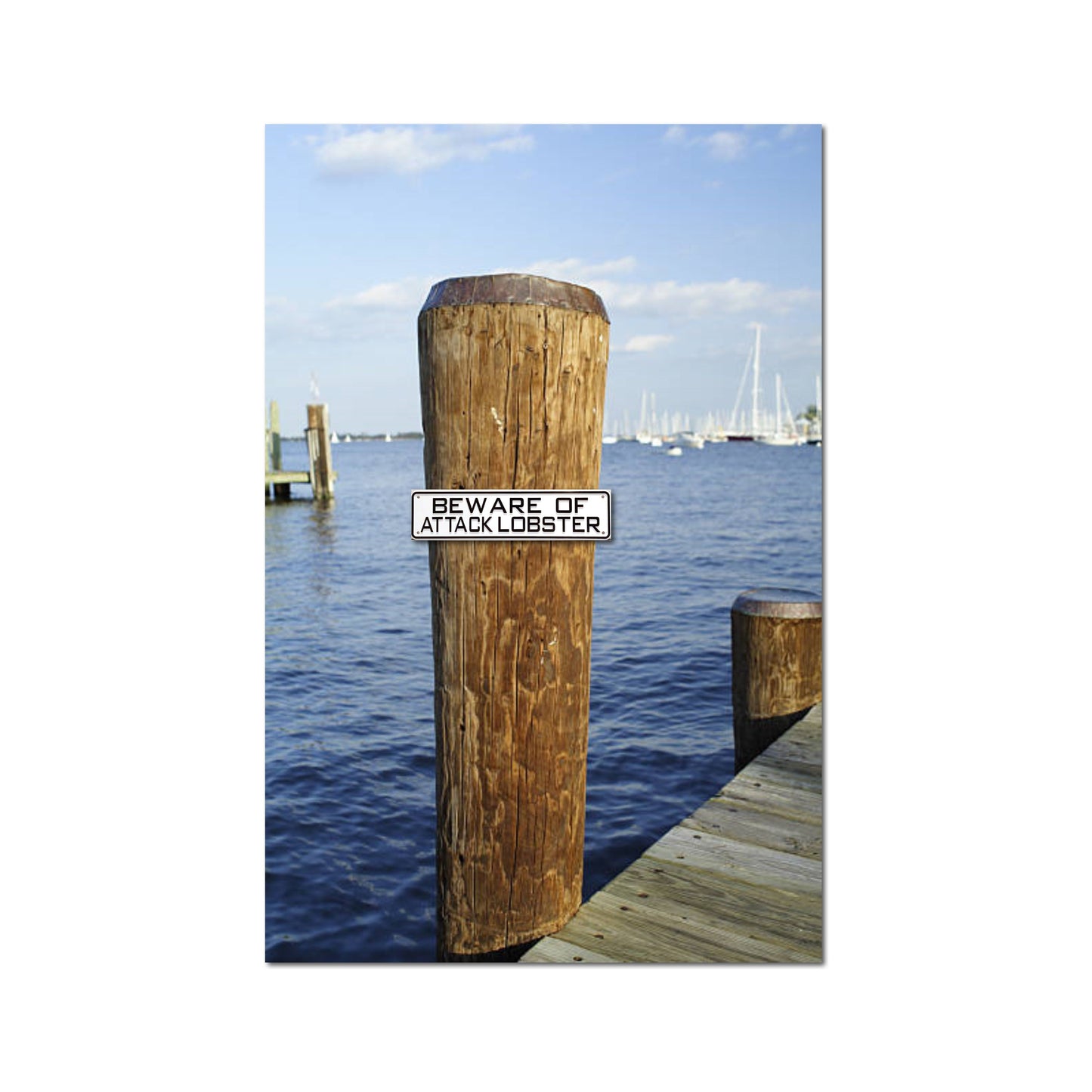 Beware of Attack Lobster Sign Solid Plastic 12 X 3