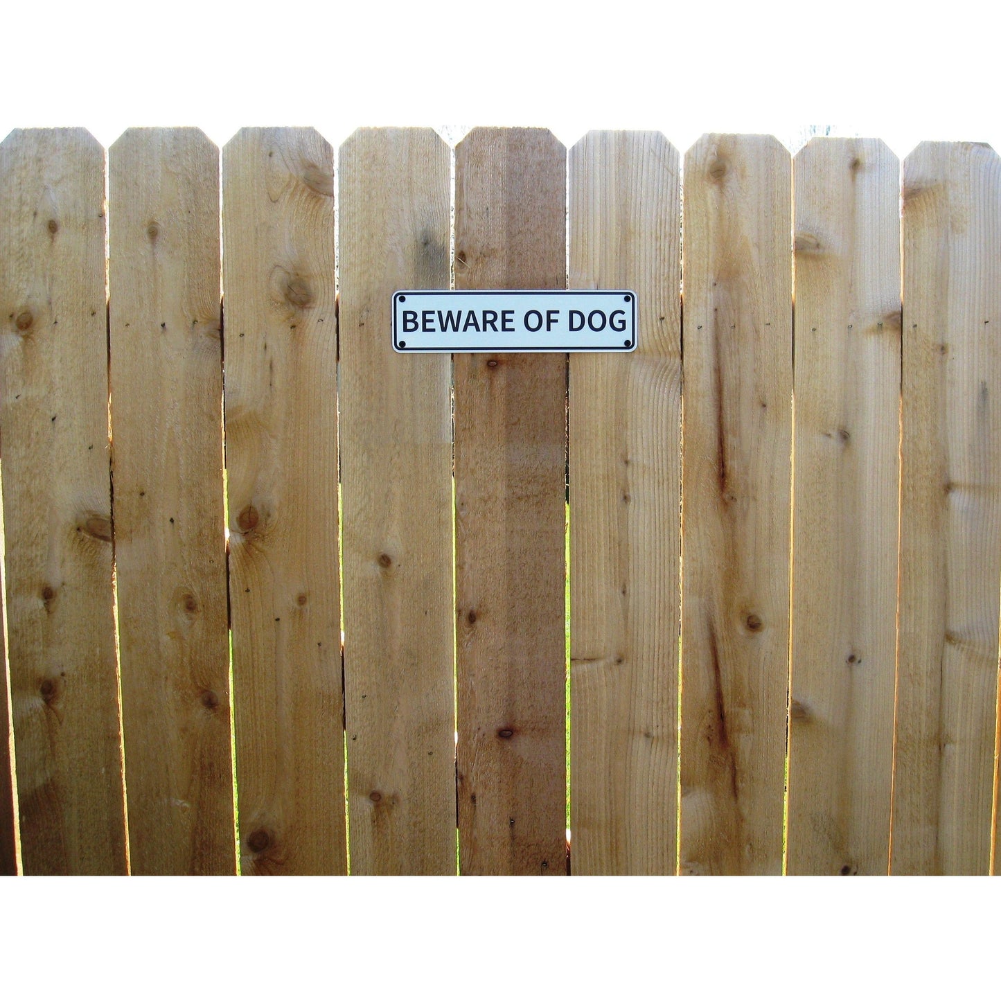 Beware Of Dog Sign Double Layered Aluminum 12 X 3